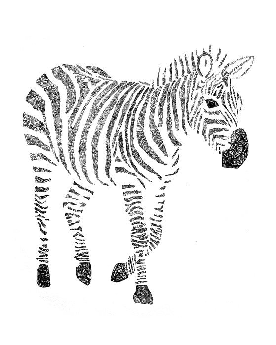 8x10 zebra