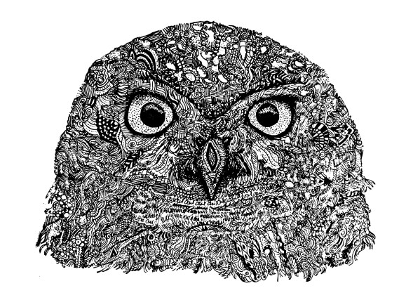 owl-head
