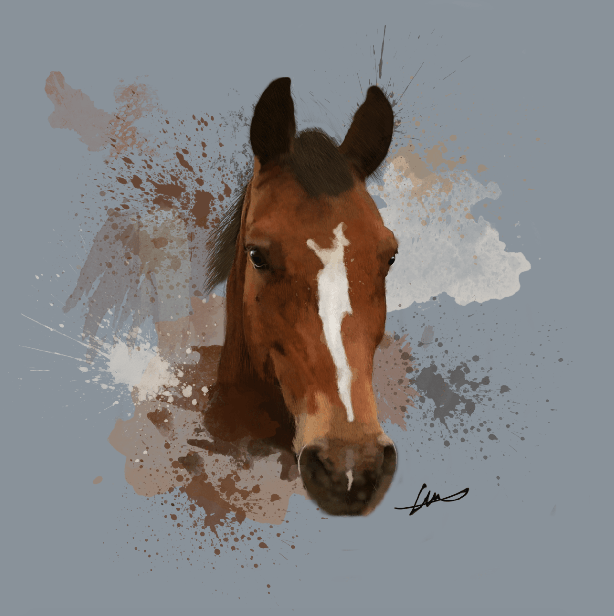 Screen Shot 2017-12-11 at 2.47.23 PM